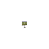 Проекционный экран T113NWS1 Elite Screens