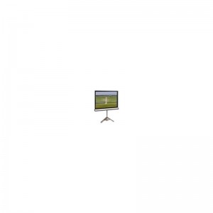 Проекционный экран T113NWS1 Elite Screens