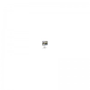 Проекционный экран T113UWS1 Black case Elite Screens (T113UWS1)