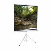 Проекционный экран Redleaf SRM-1102 Проекционный экран Redleaf SRM-1102