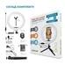 Набор блогера ACCLAB AL-LR101MB 4in1 Ring of Light, Holder, mic., Bluetooth butto (1283126502057)