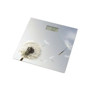 Весы напольные Grunhelm BES-BLG Весы напольные Grunhelm BES-BLG