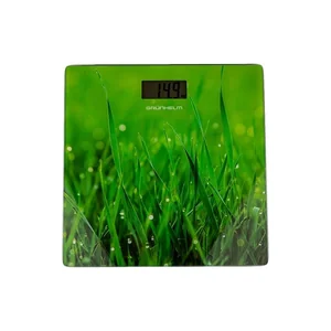 Весы напольные Grunhelm BES-GRA10 Весы напольные Grunhelm BES-GRA10