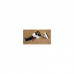 Пылесос Gorenje SVC216FMLW