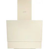 Вытяжка кухонная Pyramida ASH 60 S (800) GIV