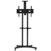 Стойка презентационная Walfix TVS-6004B