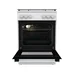 Плита Gorenje GG6A10WJ
