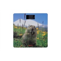 Весы напольные Ardesto SCB-965MARMOT Весы напольные Ardesto SCB-965MARMOT