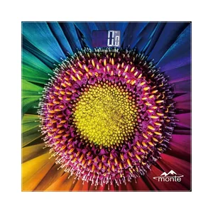 Весы напольные Monte MT-6011-8 Весы напольные Monte MT-6011-8