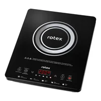 Настольная плита Rotex RIO225-G Настольная плита Rotex RIO225-G