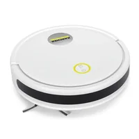 Пылесос Karcher RCV 2 (1.269-670.0)