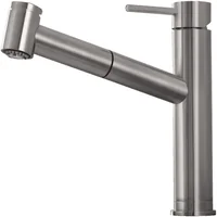 Кухонный смеситель FKM 66P Inox Fabiano